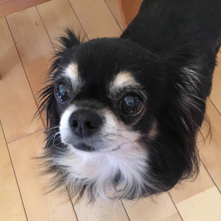 7c0de6fc 75d3 4248 9849 caeb8c568984