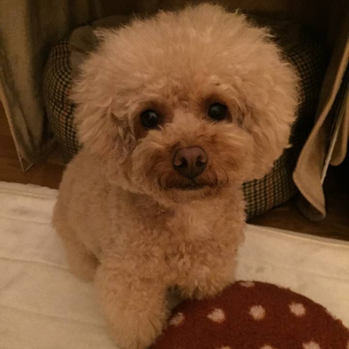 7c0e77e8 78f6 45d0 a5a2 5d3483dbf300