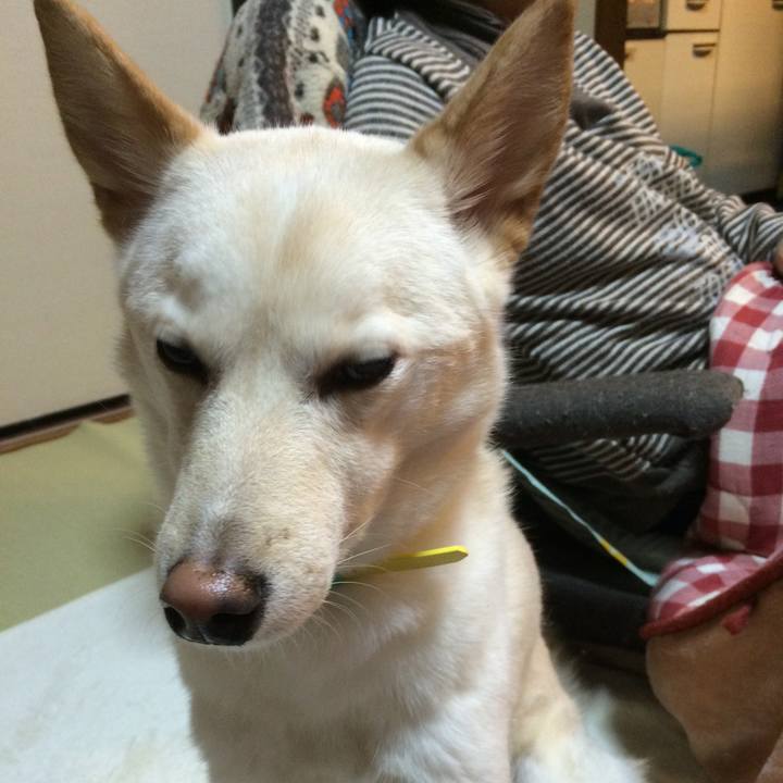 7c0f0224 fe2e 408a 9634 30e417e7a32f