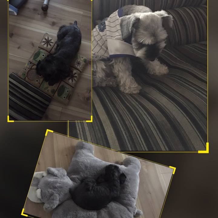 7c10102b d942 4b22 b6bc 8f3f3cbe3c8e