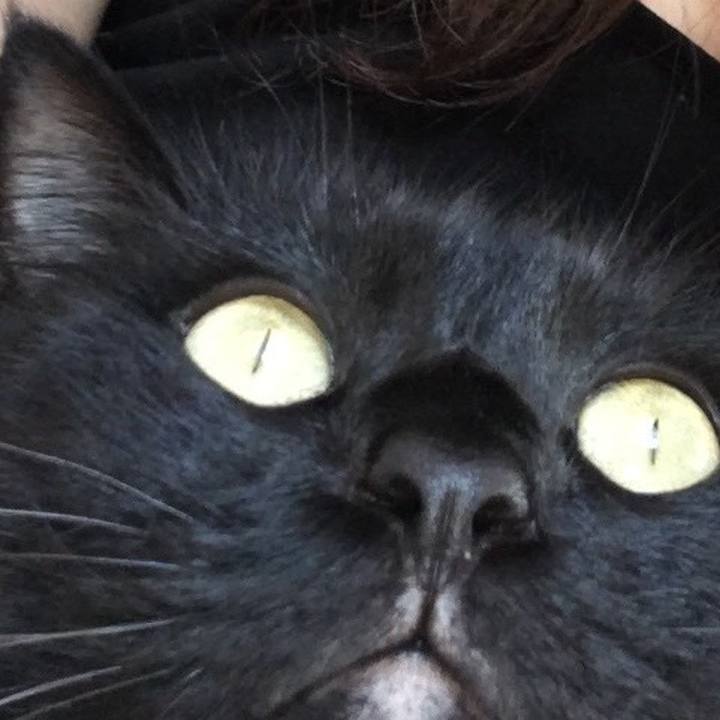 7c102ae1 5d7d 4b4b 8678 cba7342583b5