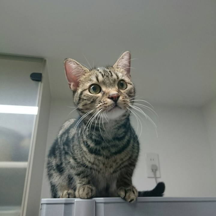 7c10560e 315c 4fa6 bebf ed628013f5ca