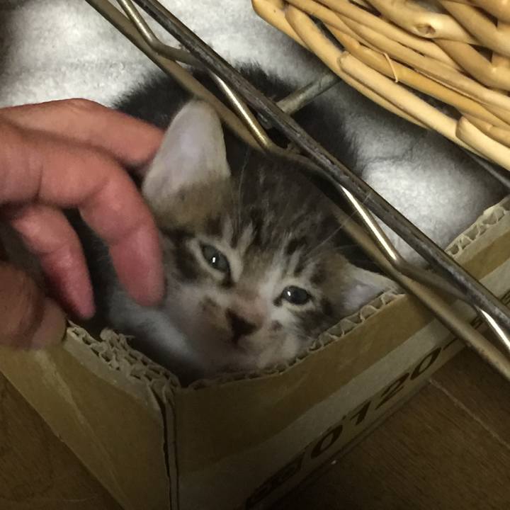 7c105e07 e4b9 4b0a b87d 99e9f6782ef9