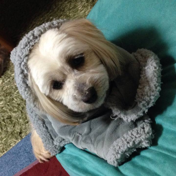 7c1090ca 0774 4b44 b612 6f92b3fe29f6