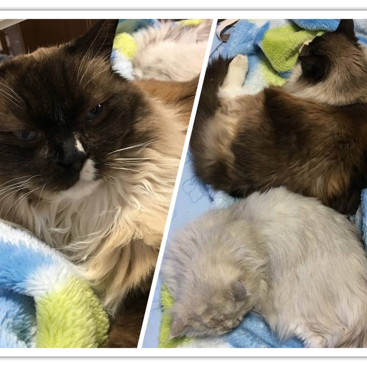 7c109380 7072 4b2c 8887 5ebf69c1028d