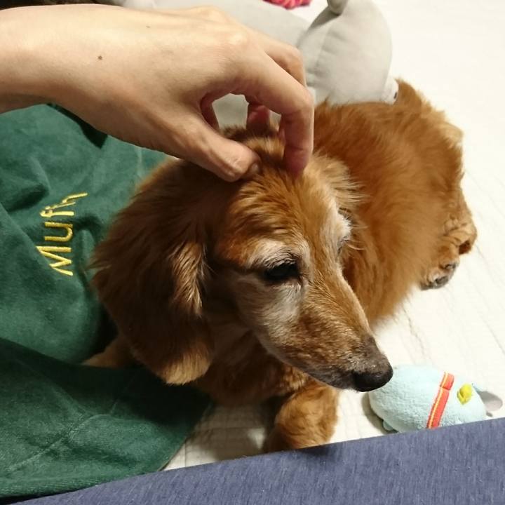 7c116fa9 7ee4 46d4 bab3 9171317684b5