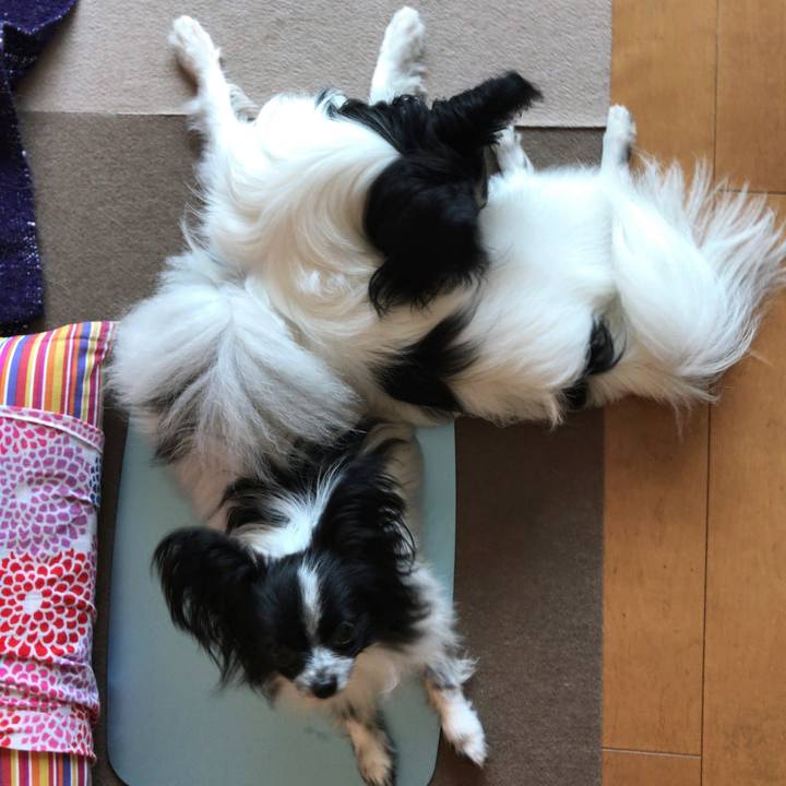 7c118c7b 69ac 45f9 96c2 ab764ae84f4f