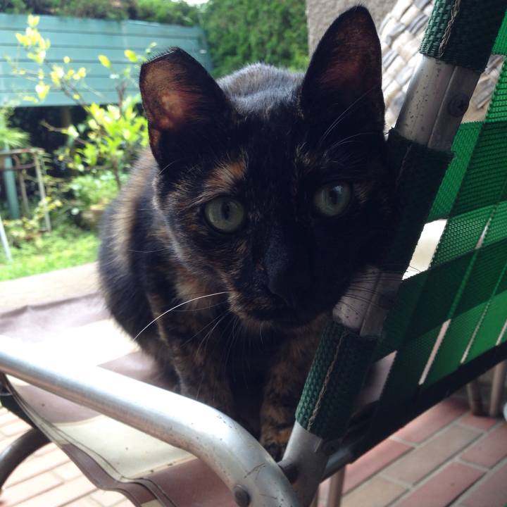 7c11a099 064f 4db2 a3c6 27d35ba8406a