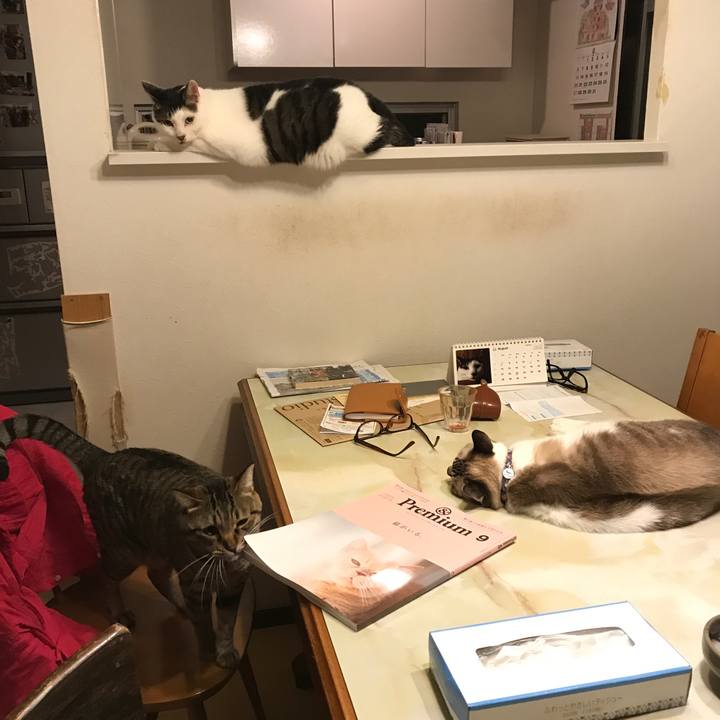 7c11b05d 571d 4919 ab6e fd6dbcfc441b