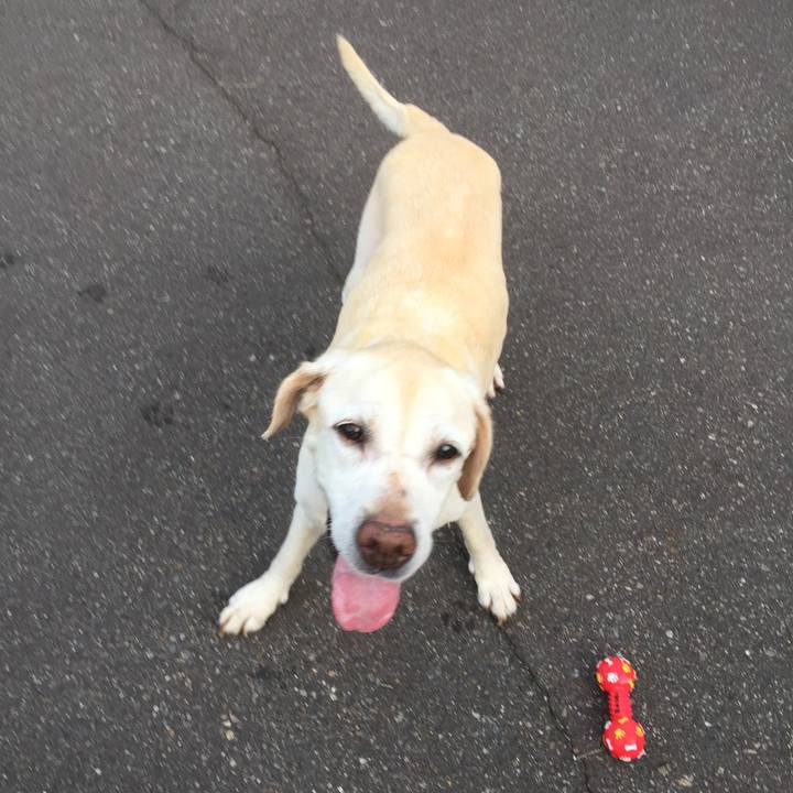 7c122f48 3344 426a 9ced 2500789a480d