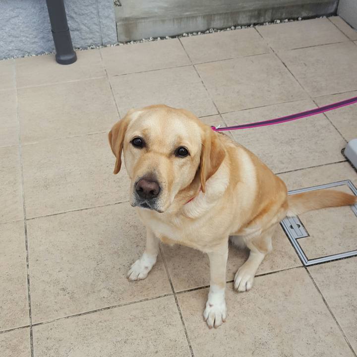 7c12682f 31f1 40c7 869f 17b2436f58be