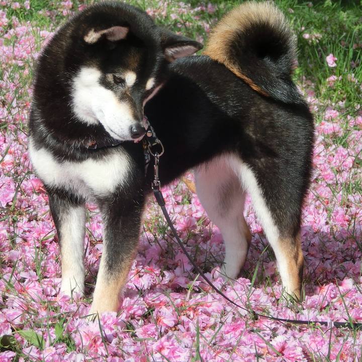 7c1316a0 de07 44ab 8d45 932b60ce53b5