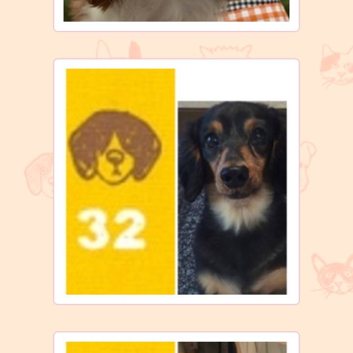 7c1355f9 3440 496c 8dc0 795fd26f451c