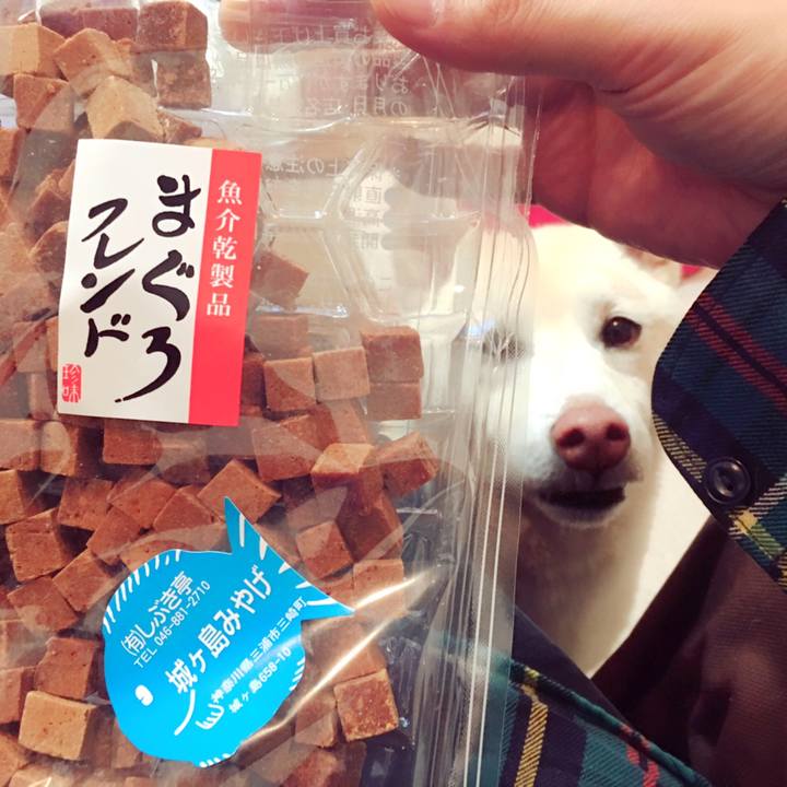 7c13b6fe 4f89 49bd 9570 3b2a7877acbe