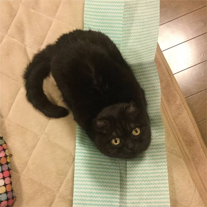 7c13c540 20dd 49a5 a3b6 c79e9a963d34