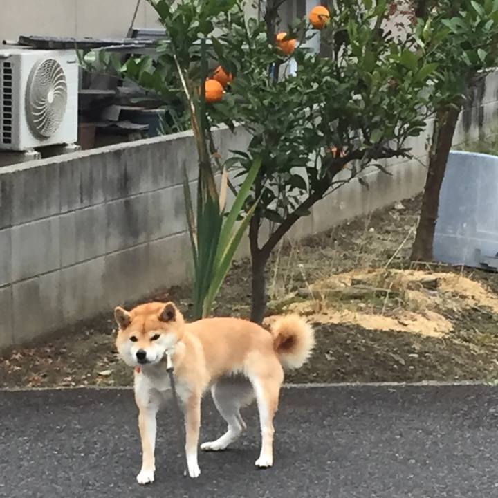 7c146d92 c914 437e b8b1 5624d7038ed2