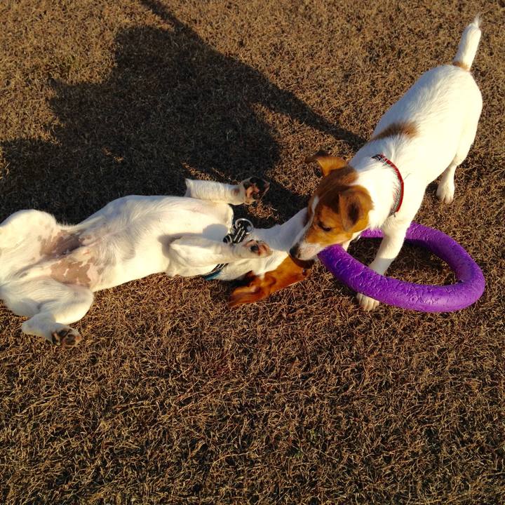 7c14e4e5 6c66 46f4 8832 8db139623039