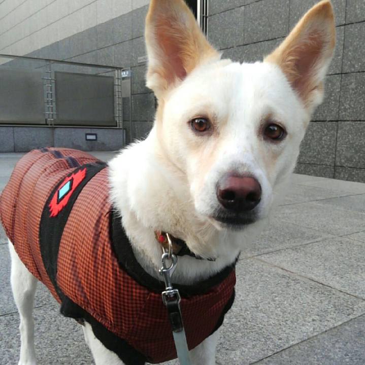 7c1540e1 b170 4edd bdc7 ad8318eace2f