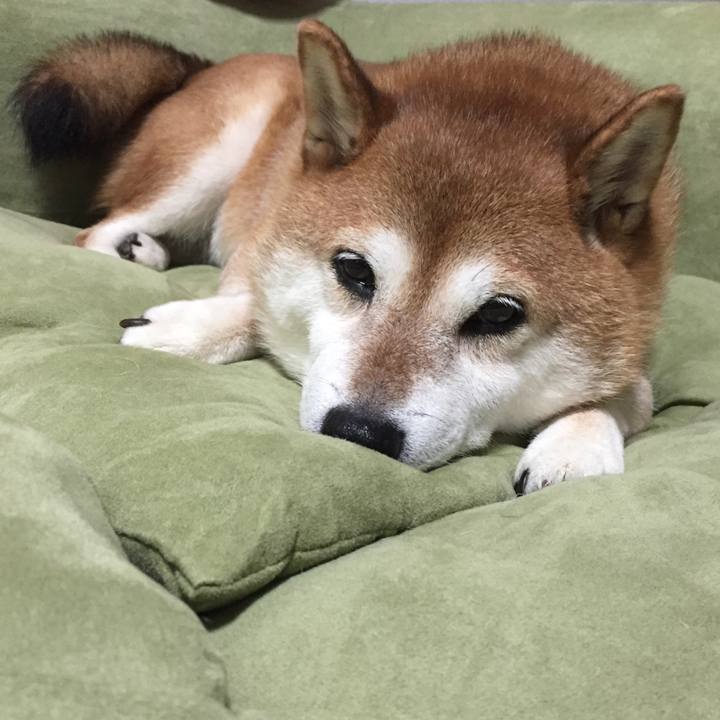 7c15fc5b 741a 4bce adb1 69210d8626c8