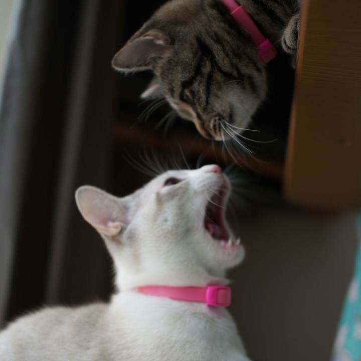 7c16883a 45eb 4b72 9955 e14a5b161c8d