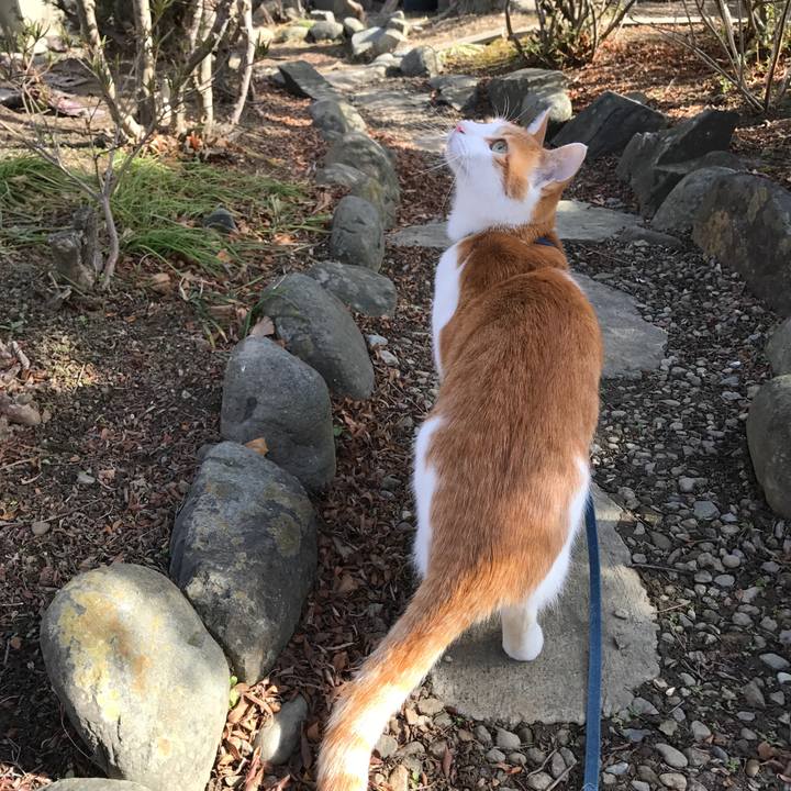 7c170547 f3b7 444f 8744 38001e278640