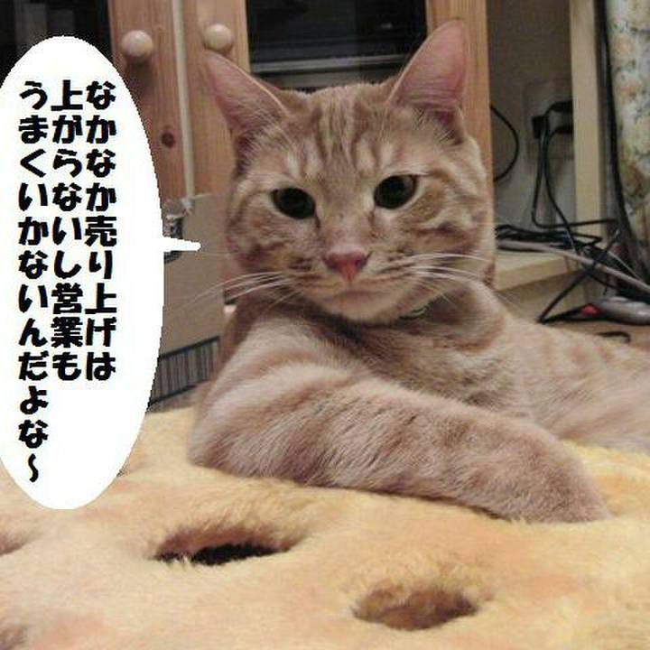 7c170b2a 5074 4da3 b06b 02669aef130d