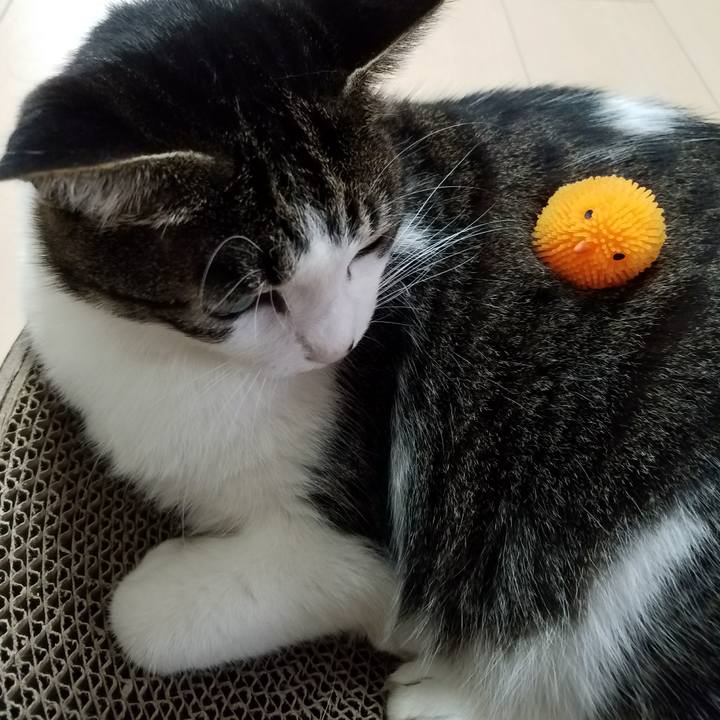 7c17ad61 31a7 40e3 9ab3 2121bcdf6668