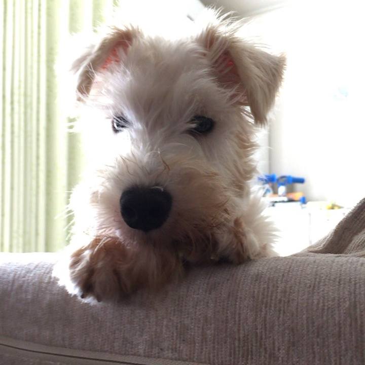 7c182b48 2644 4512 a5a1 0643f35fb40b