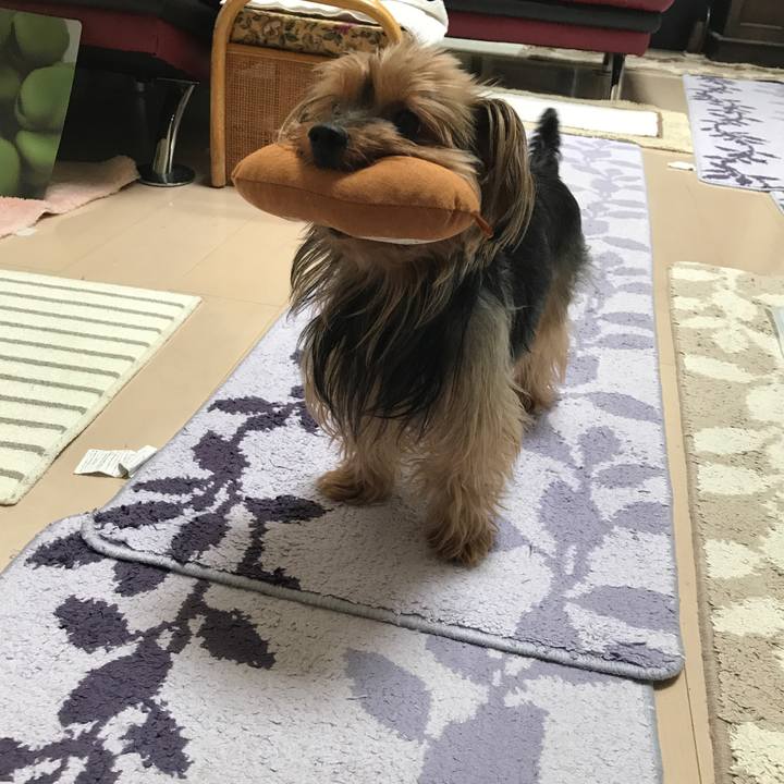 7c18bb3a 213c 4da2 a736 7ddb977f5bfa