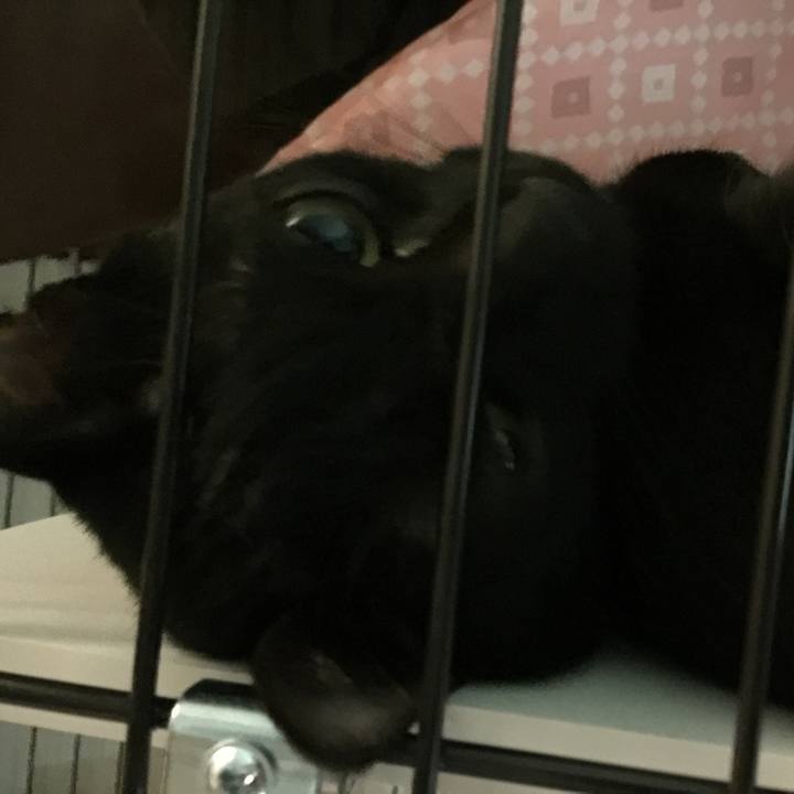 7c199f00 554f 44bb 8b27 4e0b401fbce8