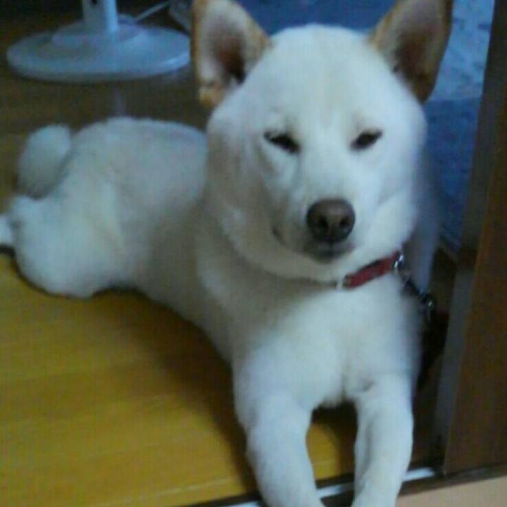 7c1a49eb 4c5d 4d1b 8ff0 7361e11db1aa