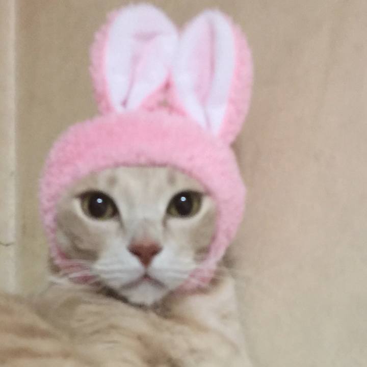 7c1a66f0 6906 4cb2 81b6 2fc5cb8bfd91