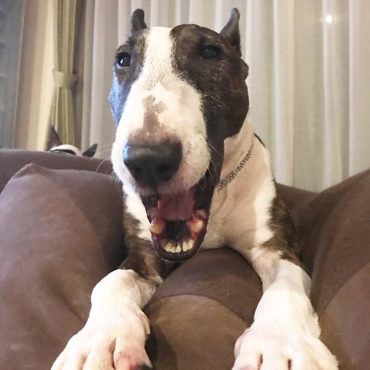 7c1b05ea 8d46 48b1 9bef 0b1f921f377e