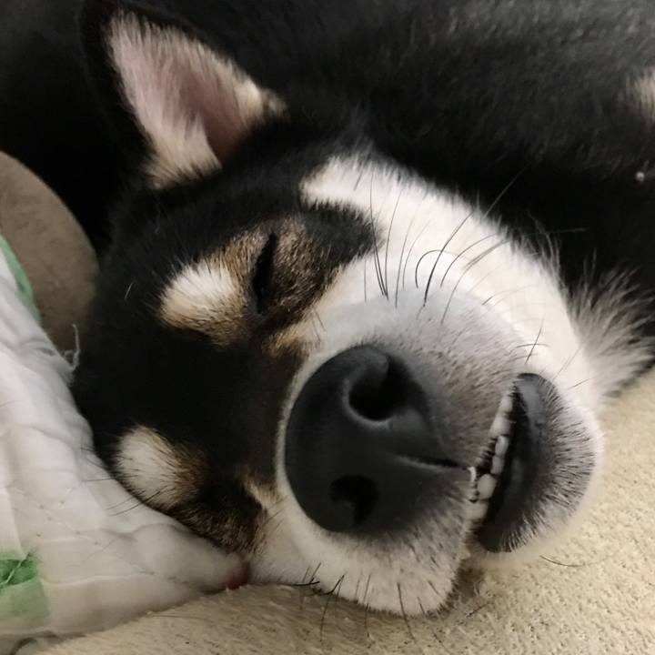 7c1b4037 25bd 41f0 8ab0 025b7544f945