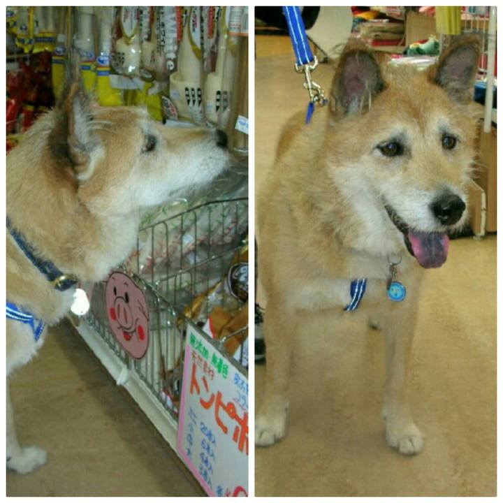 7c1b7b1f e970 49b7 8127 17f8045a937e