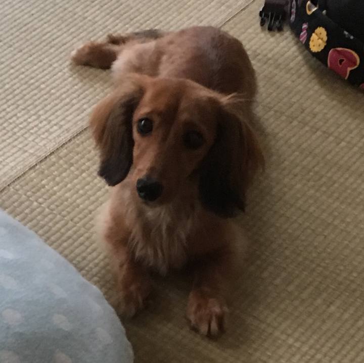 7c1be407 6c69 4806 a7af 9915a23d3792