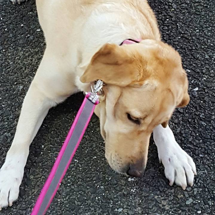 7c1c0db4 5761 42d3 92f3 78e7550f05c2