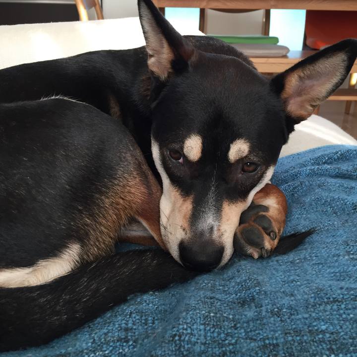 7c1c554d 68b9 4a7f b6b2 62c75c4af451