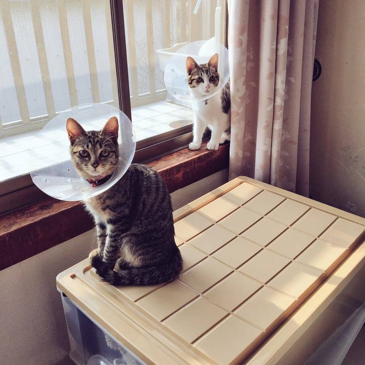 7c1c9ace 2b49 41e5 b175 e4a02677a70c