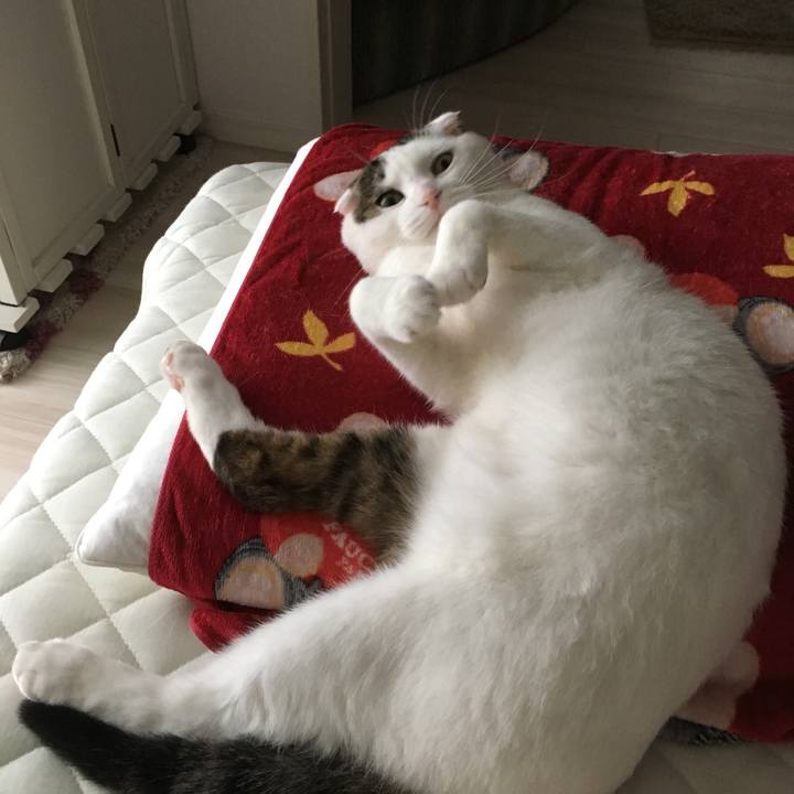 7c1cd302 ce45 4511 8758 58dcb1b610fc