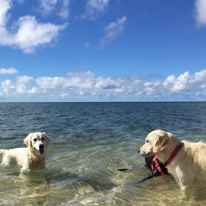 7c1ce88b 292b 4875 9c8d fd0af1bff9d5