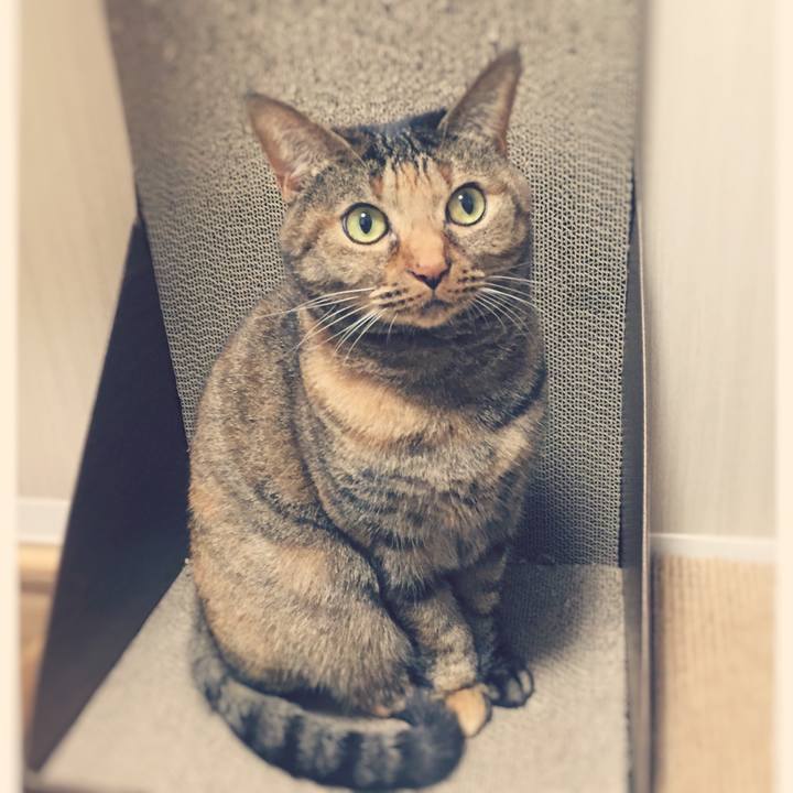 7c1d2a21 9eda 4003 abca 3f27e0d960d7