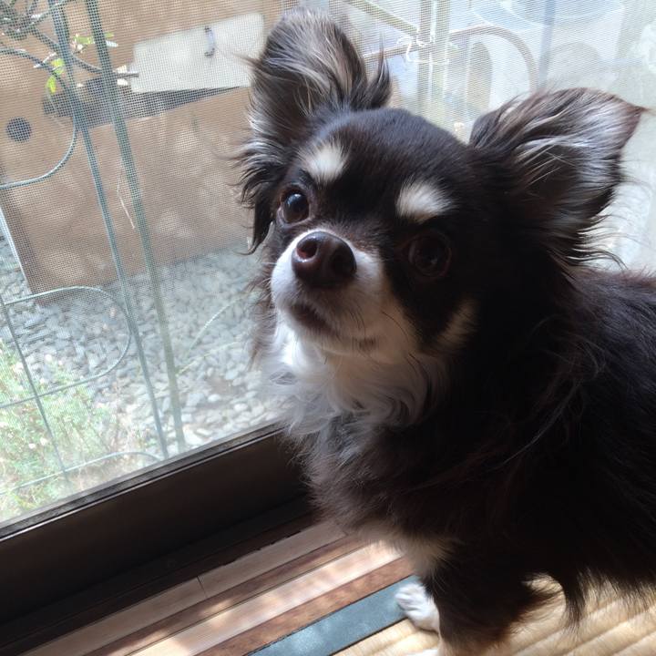 7c1d7501 af71 4b23 aafc 015a1dcd2202