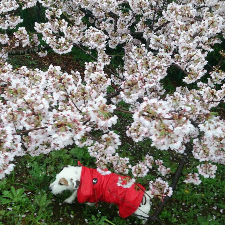 7c1e643a 6d96 4716 af8d 7200ea40a5a3