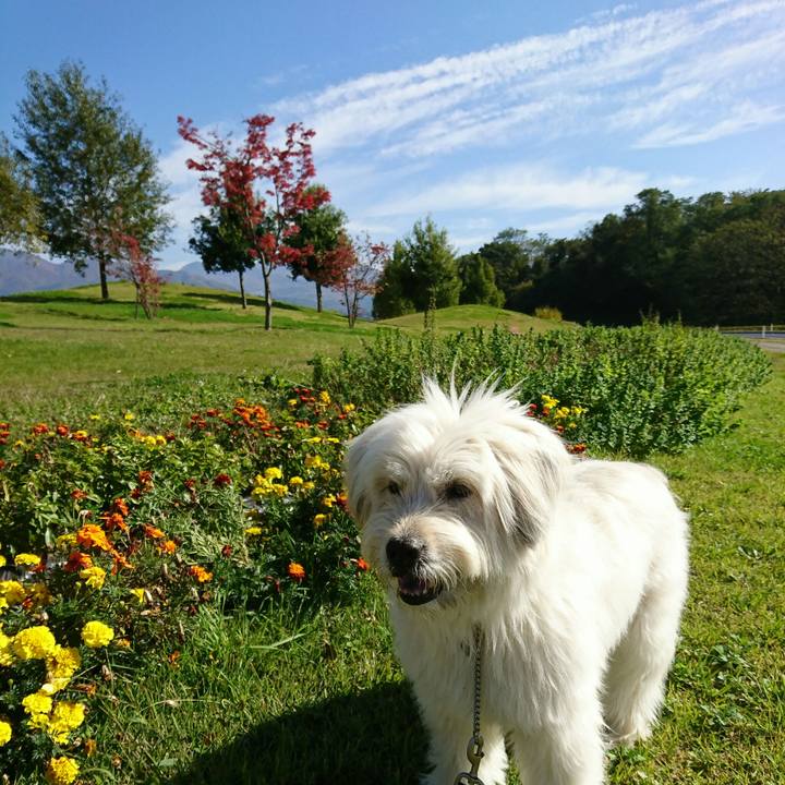 7c1e8933 837e 4071 90a9 fa4b147ea8df