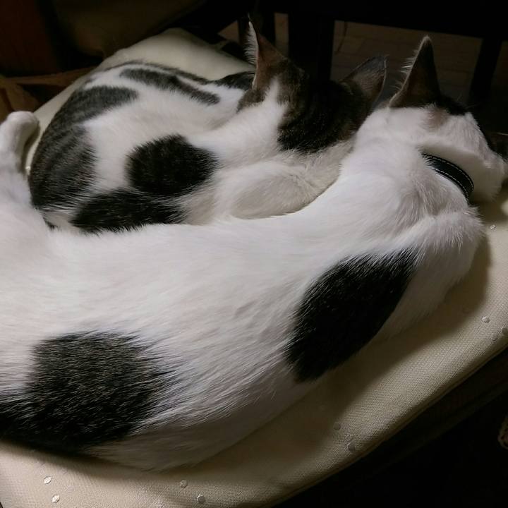 7c1f1ef4 933c 4840 ab3a e3fbb91ba144