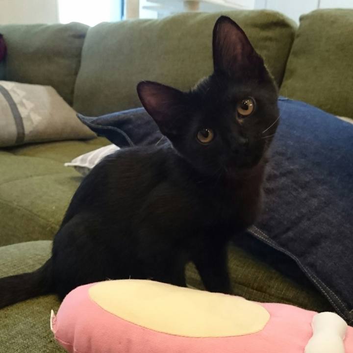 7c1f8a55 a5e3 474f bf0a 7c32f1bbe7db