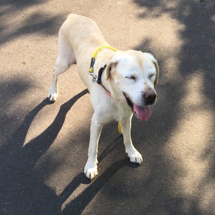 7c1fb497 5331 492c 8fd5 288977572b92