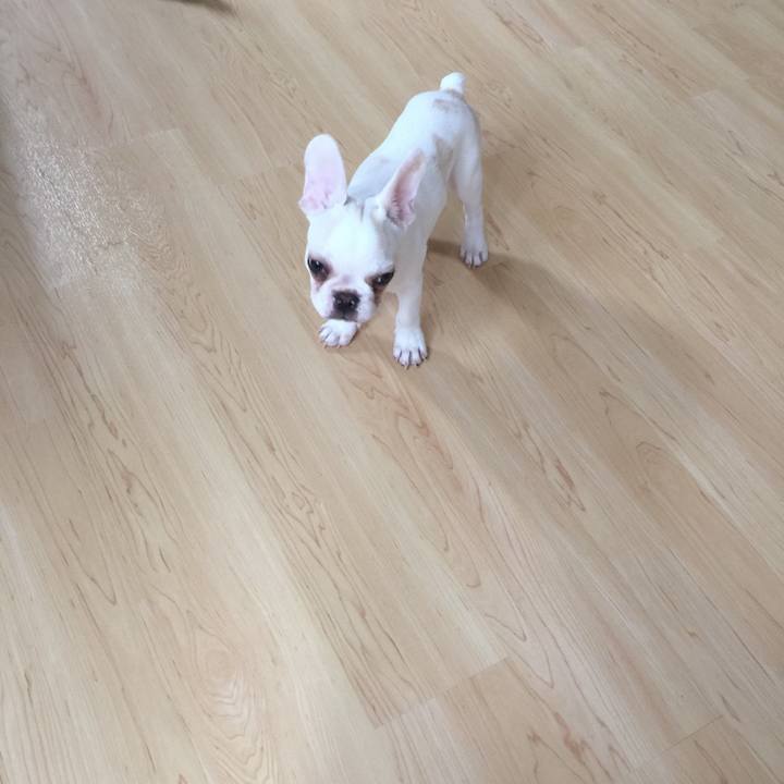 7c201313 ae44 4014 86f1 662f11c66f62