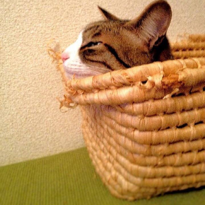 7c2034d3 911e 4766 b311 c0e1c9db22fd